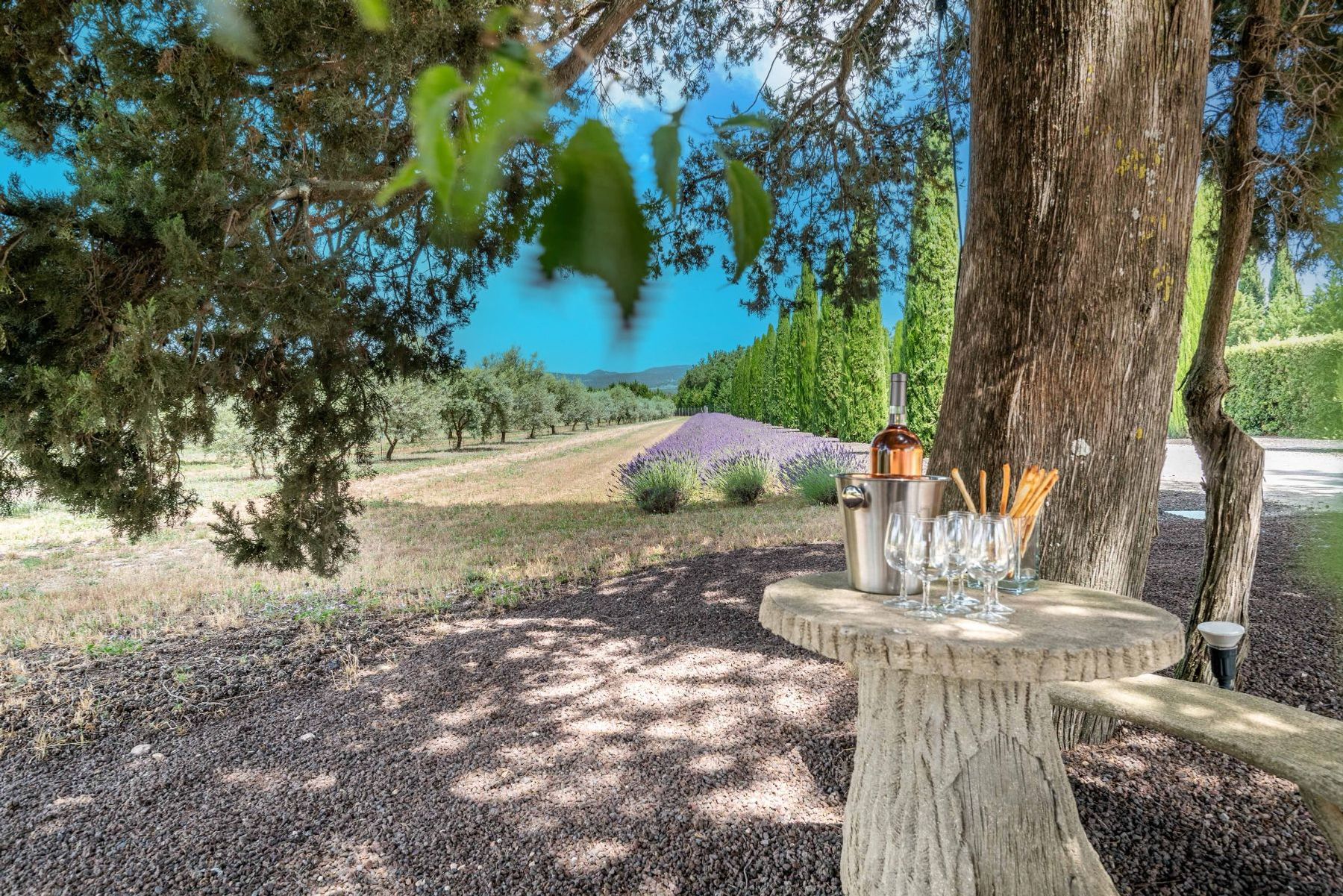 Bastide de la Senancole villa photo.
